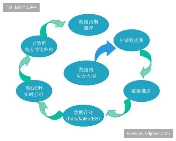 北京攀岩队力量表现的数据分析与训练策略探讨