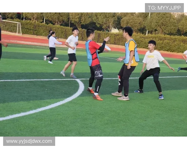 南京飞盘队技术分析与战术探讨提升团队竞技水平的关键因素