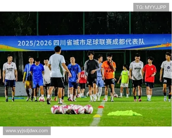 成都足球队以87分稳居总决赛积分榜首位展现强劲实力