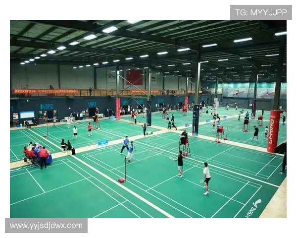 武汉羽毛球队在羽毛球比赛经验排行榜中荣登第十名展现出强劲实力与潜力