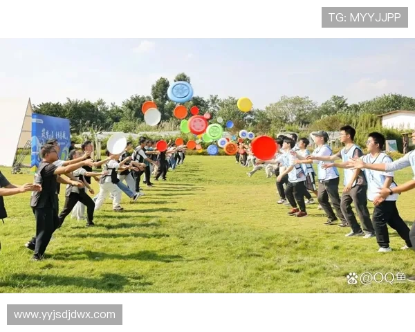 武汉飞盘队如何通过阵地战革新提升竞技水平与团队协作能力