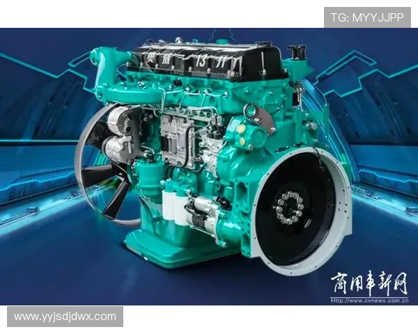 独家解析V5耐力对比测试结果及其影响因素分析