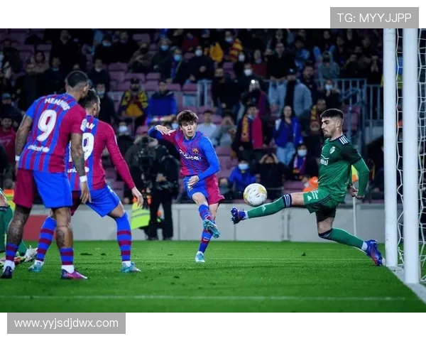 费耶诺德主场迎战海牙期待精彩对决双方争夺关键三分的激烈战役 费耶诺德主场迎战海牙期待精彩对决双方争夺关键三分的激烈战役