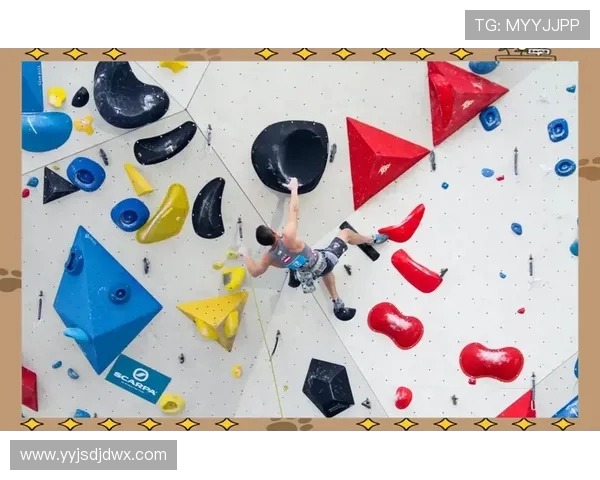 武汉攀岩队的快攻策略与深度解析攀岩运动的魅力与挑战