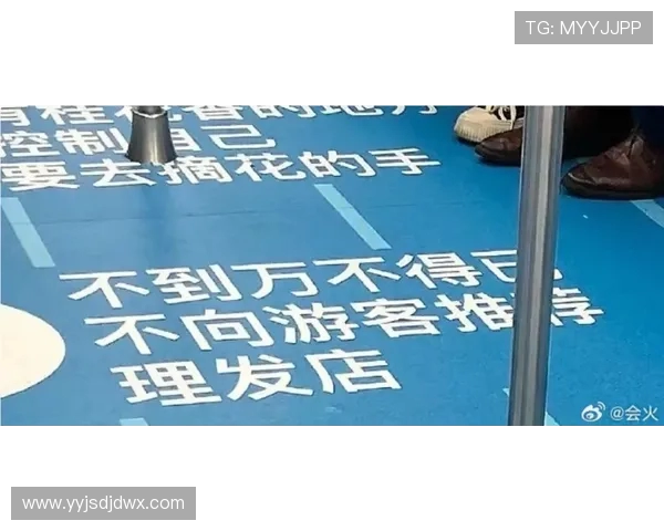 杭州极限运动队包夹战术深度分析与实战应用探讨